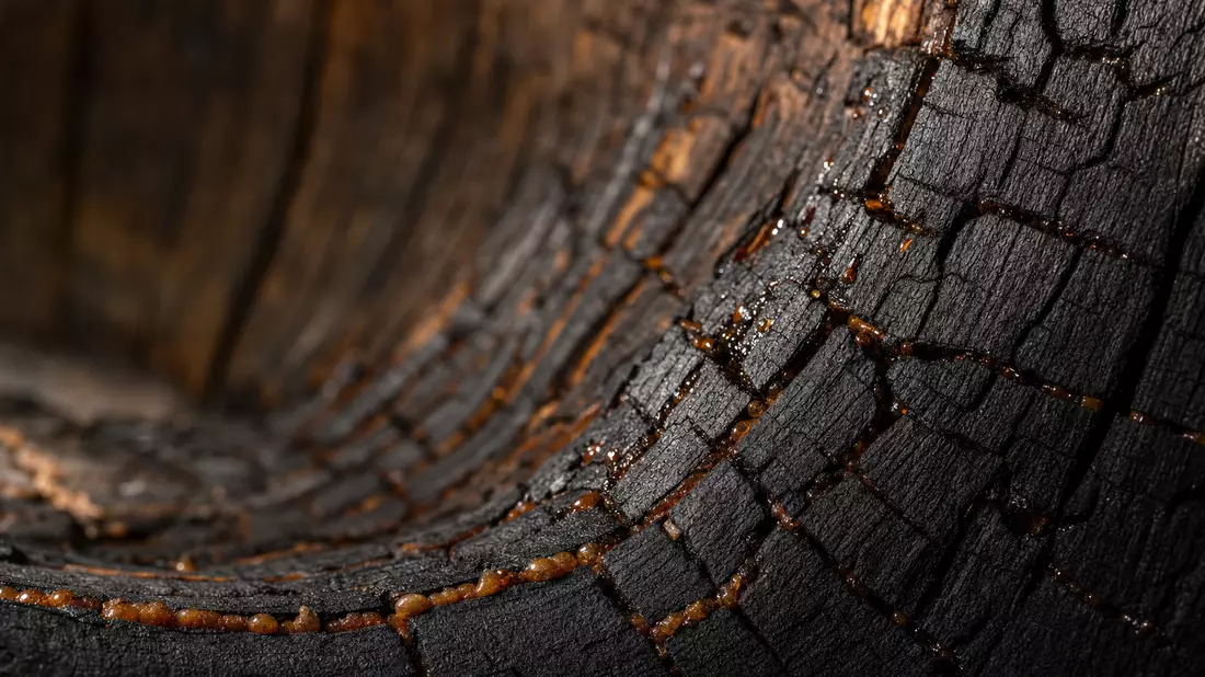 Makrofoto gekohltes Eichenholz Bourbon-Fass Innenseite mit Karamell-Crackelé-Textur