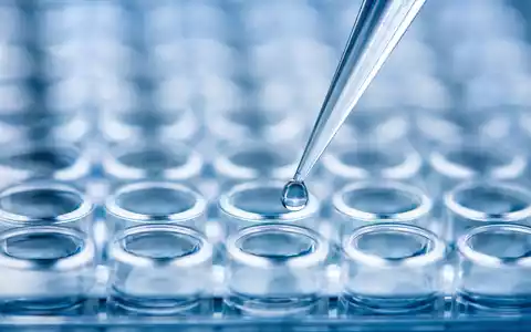 Tecan Group AG (CH0012100191) verdeutlicht Präzision: Makroaufnahme eines Pipettentropfens über Mikroplatte demonstriert Laborautomation - Foto: THN