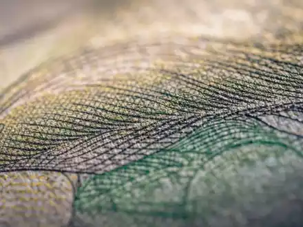 Principal Financial US74251V1026: Makroaufnahme zeigt feine Papierstruktur und Drucklinien einer Banknote in Detailschärfe - Foto: THN