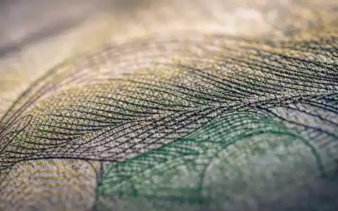 Principal Financial US74251V1026: Makroaufnahme zeigt feine Papierstruktur und Drucklinien einer Banknote in Detailschärfe - Foto: THN