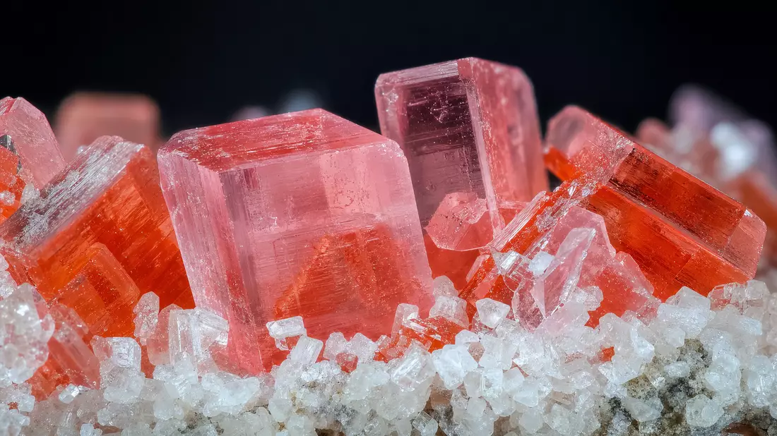 Makro-Nahaufnahme von transluzenten rosa-orangen Kaliumchlorid-Kristallen auf weißem Salzgestein