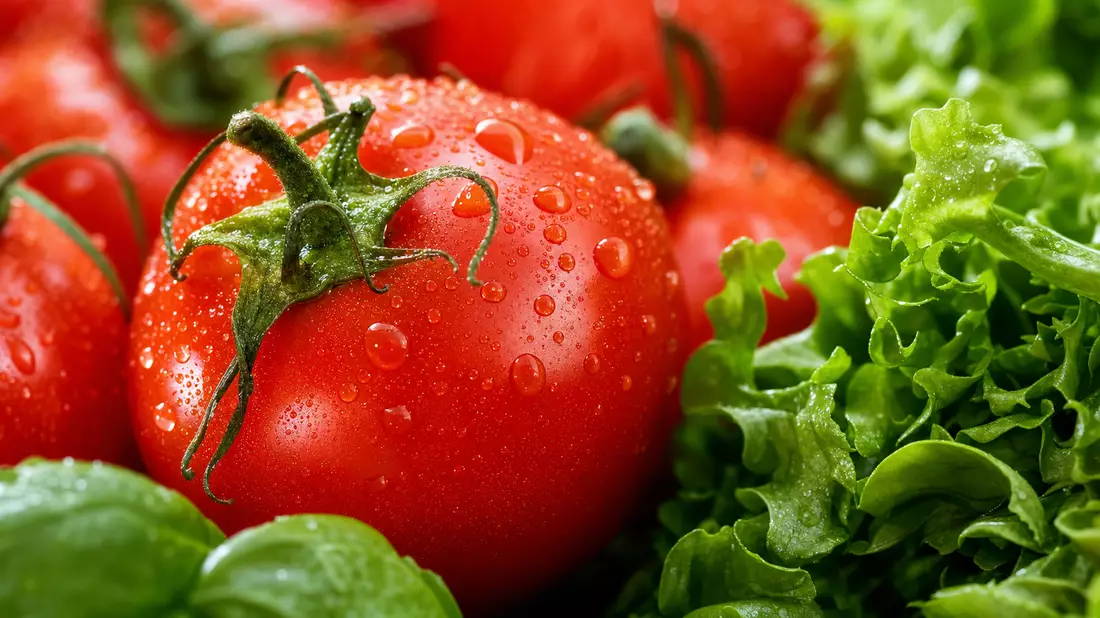 Makroaufnahme von frischen Tomaten mit Wassertropfen neben grünen Salatblättern