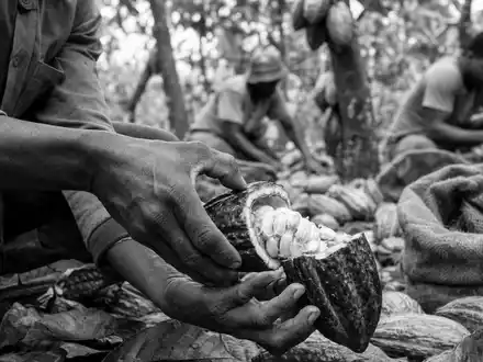 Barry Callebaut AG (CH0009002962) in dokumentarischer SchwarzweiĂ-Reportage-Fotografie mit Fokus auf Details der Arbeitsumgebung - Foto: THN