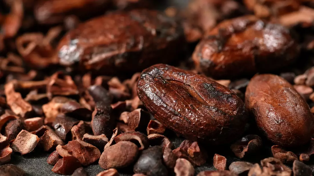 Barry Callebaut AG (CH0009002962) - Makro