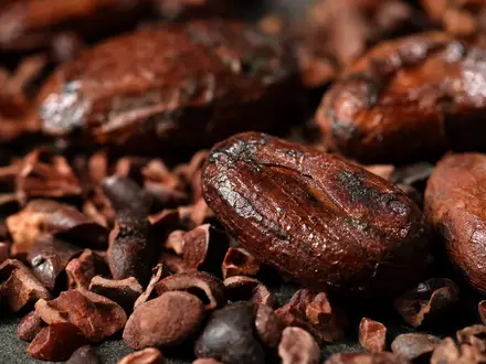 Barry Callebaut AG (CH0009002962) in extremer Makro-Nahaufnahme mit scharfen Details und schmalem Schärfebereich - Foto: THN