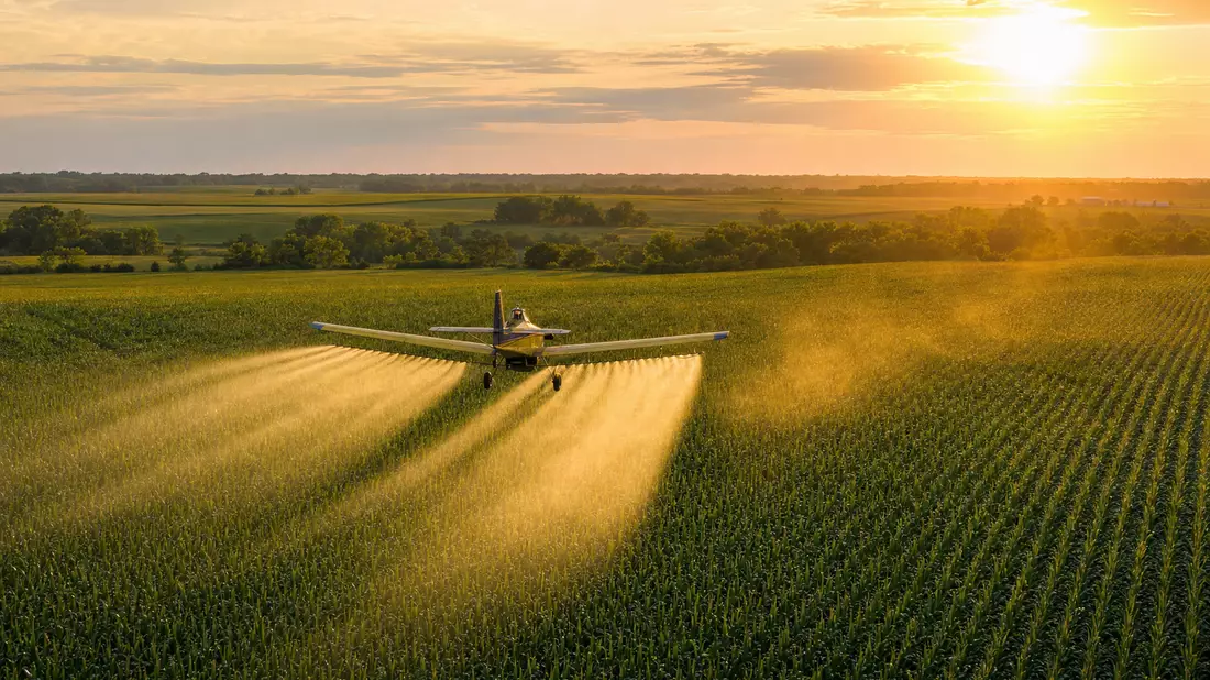 Agrarflugzeug sprüht Pflanzenschutzmittel über grüne Maisfelder im goldenen Abendlicht
