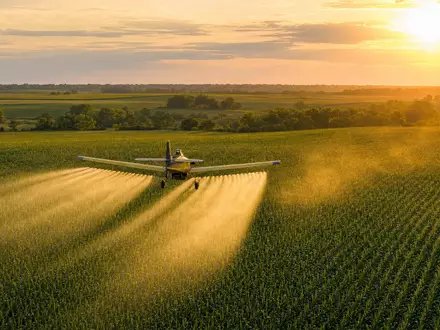 FMC Corp. Pflanzenschutz-Flugzeug sprüht Insektizid über grüne Maisfelder bei goldenem Licht ISIN US3024913036 - Foto: THN