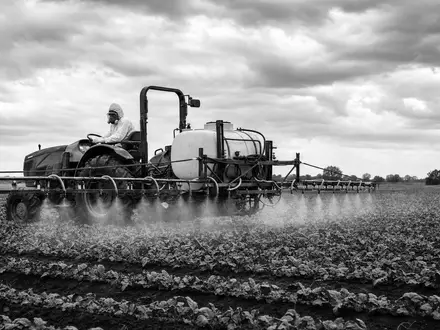 FMC Corp. Traktor mit Sprühanlage behandelt Ackerpflanzen in SW-Reportage ISIN US3024913036 dokumentarisch - Foto: THN