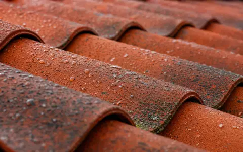 Topdanmark A/S (ISIN DK0060477503) Makroaufnahme zeigt rote Dachziegel mit Regentropfen als Symbol für Hausversicherungsrisiko - Foto: THN
