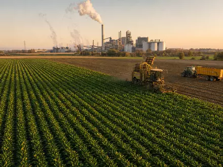 Südzucker AG (DE0007297004) zeigt fotorealistisch ein Zuckerrübenfeld bei der Ernte nahe einer Fabrik am Abend - Foto: THN