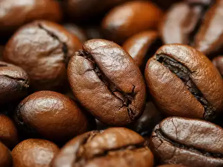 Starbucks Corp. US8552441094 fokussiert detailreiche Makroaufnahme gerösteter Kaffeebohnen mit feiner glÀnzender OberflÀchenstruktur - Foto: THN
