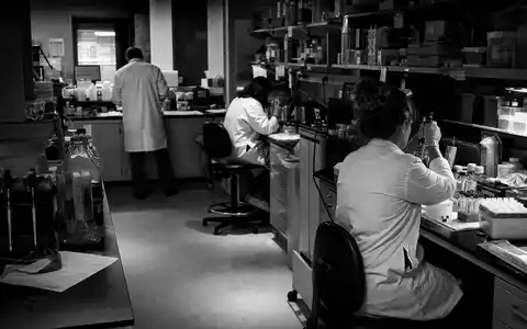 Charles River Laboratories Wissenschaftler bei präklinischen Studien in dokumentarischer Schwarzweiß-Reportage, ISIN US1591881009, CRO - Foto: THN