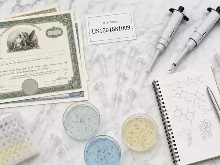 Charles River Laboratories Biotech-Flatlay mit Aktienzertifikat, Pipetten und Petrischalen, ISIN US1591881009, Investoren-Stil - Foto: THN