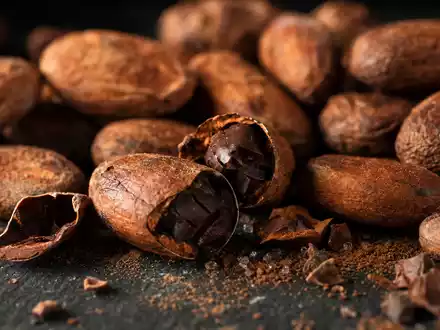 Hershey Company US4278661081 in extremer Makroaufnahme zeigt geröstete Kakaobohnen und Kakaopulver auf dunklem Schiefer - Foto: THN