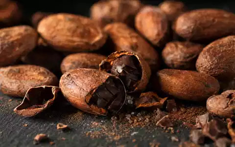 Hershey Company US4278661081 in extremer Makroaufnahme zeigt geröstete Kakaobohnen und Kakaopulver auf dunklem Schiefer - Foto: THN