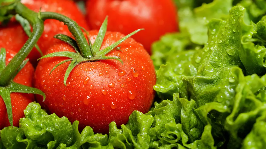 Makroaufnahme von Wassertropfen auf roten Tomaten und grünen Salatblättern in Nahaufnahme