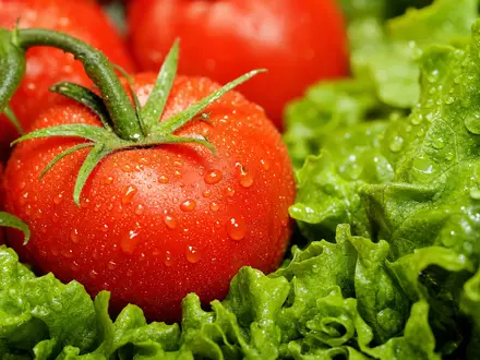 Makroaufnahme frischer Tomaten und Salat verdeutlicht Ahold Delhaize NL0011794037 und die Frischeprodukte im internationalen Lebensmitteleinzelhandel - Foto: THN