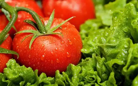 Makroaufnahme frischer Tomaten und Salat verdeutlicht Ahold Delhaize NL0011794037 und die Frischeprodukte im internationalen Lebensmitteleinzelhandel - Foto: THN