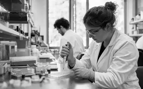 Schwarzweiß-Reportagefoto aus einem Biotech-Labor, passend zu DiaSorin S.p.A., ISIN IT0003497168, zeigt klinische Forschungsarbeit - Foto: THN