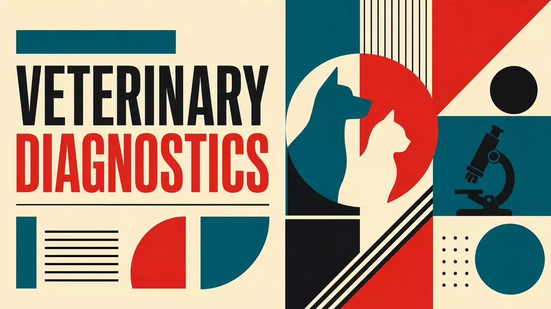 Bauhaus-Poster: geometrische Formen in Teal und Rot mit Text VETERINARY DIAGNOSTICS
