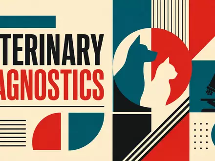 IDEXX Laboratories US45168D1046 Bauhaus Poster geometrisch mit Text Veterinary Diagnostics in Primärfarben Teal und Rot - Foto: THN
