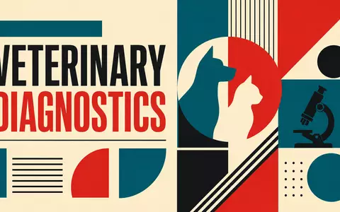 IDEXX Laboratories US45168D1046 Bauhaus Poster geometrisch mit Text Veterinary Diagnostics in Primärfarben Teal und Rot - Foto: THN