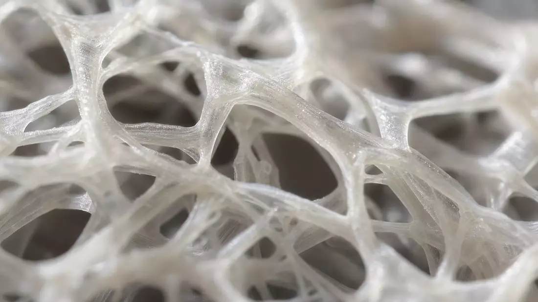 Extreme Makro-Nahaufnahme einer semi-transparenten Fluoropolymer-Membran mit Faserstruktur