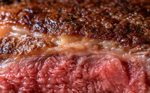 Darden Restaurants US2371941053 Makro: extreme Nahaufnahme einer gegrillten Rippensteak Kruste mit sichtbarer Marmorierung - Foto: THN