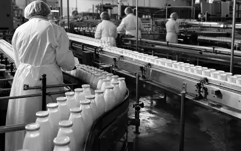 Danone S.A. Produktionsanlage FR0000120644 in dokumentarischem Schwarzweiß mit Förderbändern und vielen Milchflaschen - Foto: THN