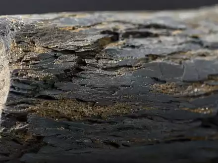 Coterra Energy Schiefergestein Bohrkern in Makroaufnahme mit sichtbaren sedimentären Schichten und Mineralien US22052L1044 - Foto: THN