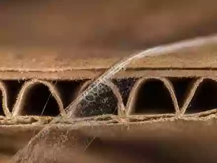 Amazon.com Inc. (US0231351067) macro cross-section of corrugated cardboard with transparent packing tape - Foto: THN