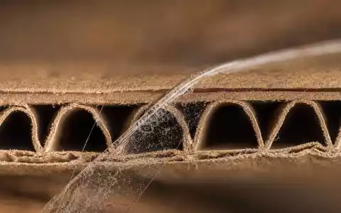 Amazon.com Inc. (US0231351067) macro cross-section of corrugated cardboard with transparent packing tape - Foto: THN