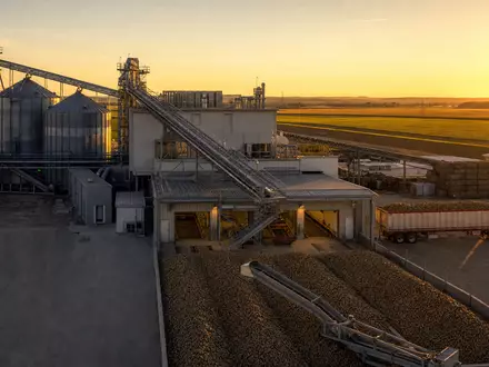 Fotorealistische Tiefkühlkost-Produktionsanlage im Sonnenuntergang zeigt Lamb Weston Aktie ISIN US5132721045 der Branche - Foto: THN