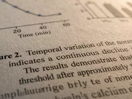 RELX plc (ISIN GB00B2B0DG97) veröffentlicht wissenschaftliche Fachtexte, hier als Makroaufnahme gedruckter Forschungsdaten dargestellt - Foto: THN