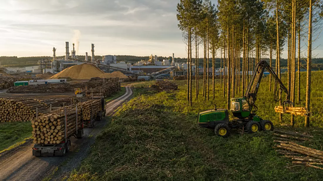 Sägewerk mit gestapelten Baumstämmen und Forstmaschine im Nadelwald bei Sonnenuntergang