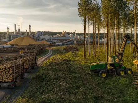 Weyerhaeuser Co. (ISIN US9621661043) betreibt große Sägewerke und nachhaltige Forstwirtschaft in weitläufigen Nadelwäldern - Foto: THN