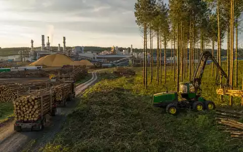 Weyerhaeuser Co. (ISIN US9621661043) betreibt große Sägewerke und nachhaltige Forstwirtschaft in weitläufigen Nadelwäldern - Foto: THN