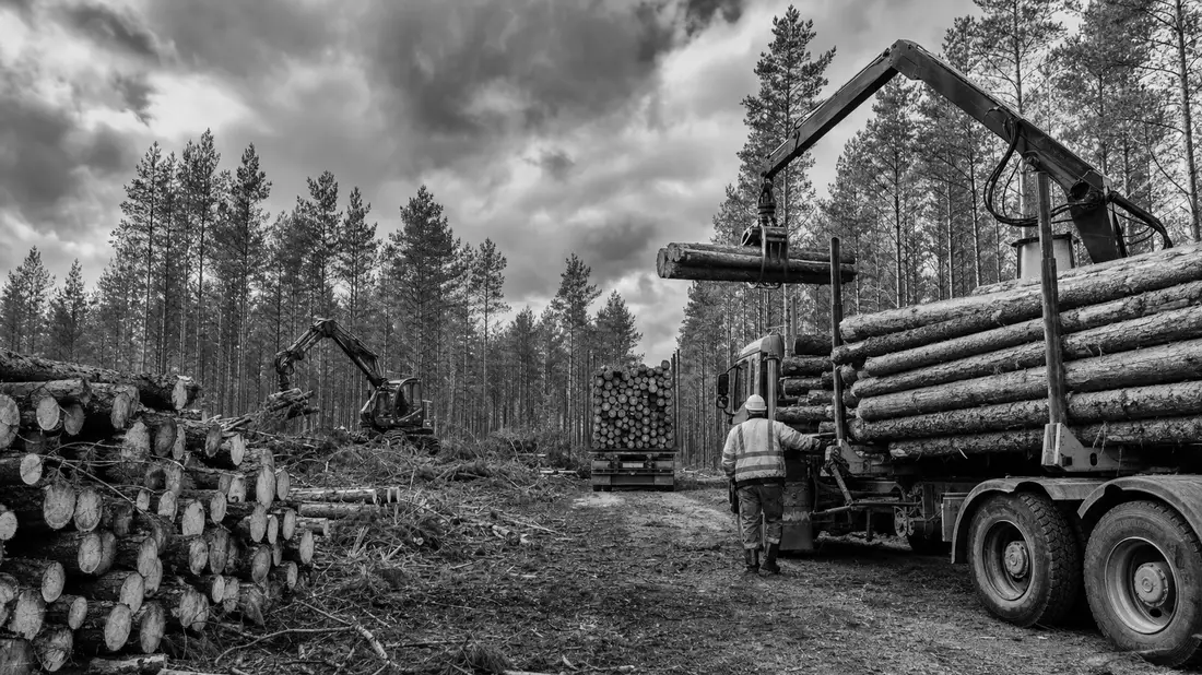 Dokumentarische Schwarzweißaufnahme von Holzfällern und beladenem Lastwagen im Wald
