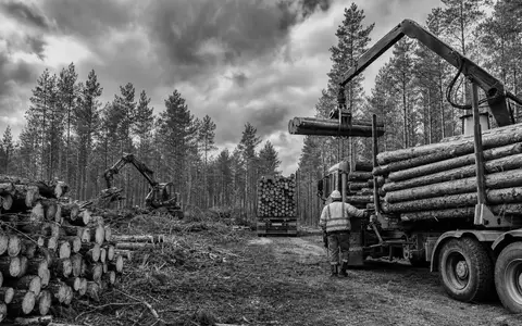 Schwarzweiß-Reportage zeigt Holzernte der Weyerhaeuser Co. (ISIN US9621661043) mit Forstarbeitern und Transportfahrzeugen - Foto: THN