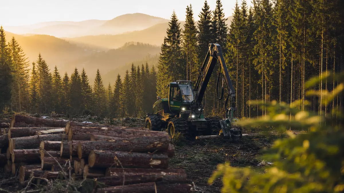 Fotorealistische Waldlandschaft mit Holzernte-Maschine und gestapelten Baumstämmen bei Sonnenaufgang