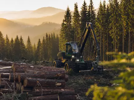 Fotorealistisches Waldmotiv zeigt Svenska Cellulosa AB SCA (SE0000112724) mit Holzernte in nordischer Forstlandschaft bei Sonnenaufgang - Foto: THN