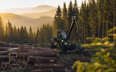 Fotorealistisches Waldmotiv zeigt Svenska Cellulosa AB SCA (SE0000112724) mit Holzernte in nordischer Forstlandschaft bei Sonnenaufgang - Foto: THN