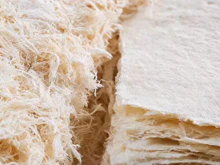 Makroaufnahme dokumentiert Svenska Cellulosa AB SCA (SE0000112724) mit Nahaufnahme von Zellstofffasern und Papierstruktur - Foto: THN