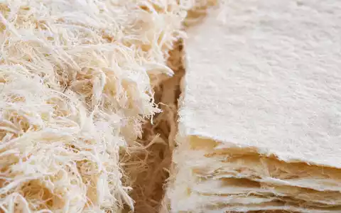 Makroaufnahme dokumentiert Svenska Cellulosa AB SCA (SE0000112724) mit Nahaufnahme von Zellstofffasern und Papierstruktur - Foto: THN