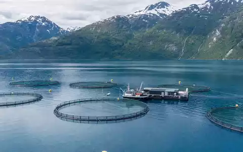 Fotorealistische Luftaufnahme einer Lachsfarm im Fjord symbolisiert Mowi ASA, Aktie ISIN NO0003054108, Norwegen - Foto: THN