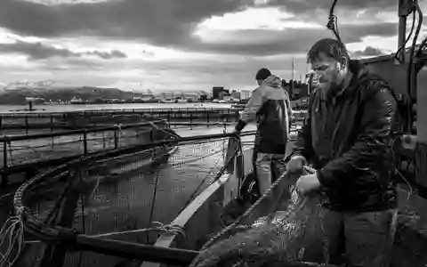 Schwarzweiße Reportage-Aufnahme von Fischereiarbeitern zeigt Alltag rund um Mowi ASA, Aktie ISIN NO0003054108, Norwegen - Foto: THN