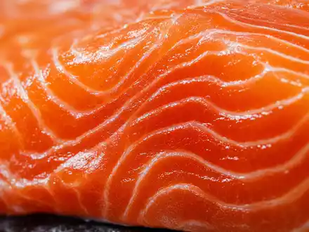 Makroaufnahme von frischem Lachsfleisch zeigt Kernprodukt von Mowi ASA, Aktie mit ISIN NO0003054108, im Detail - Foto: THN