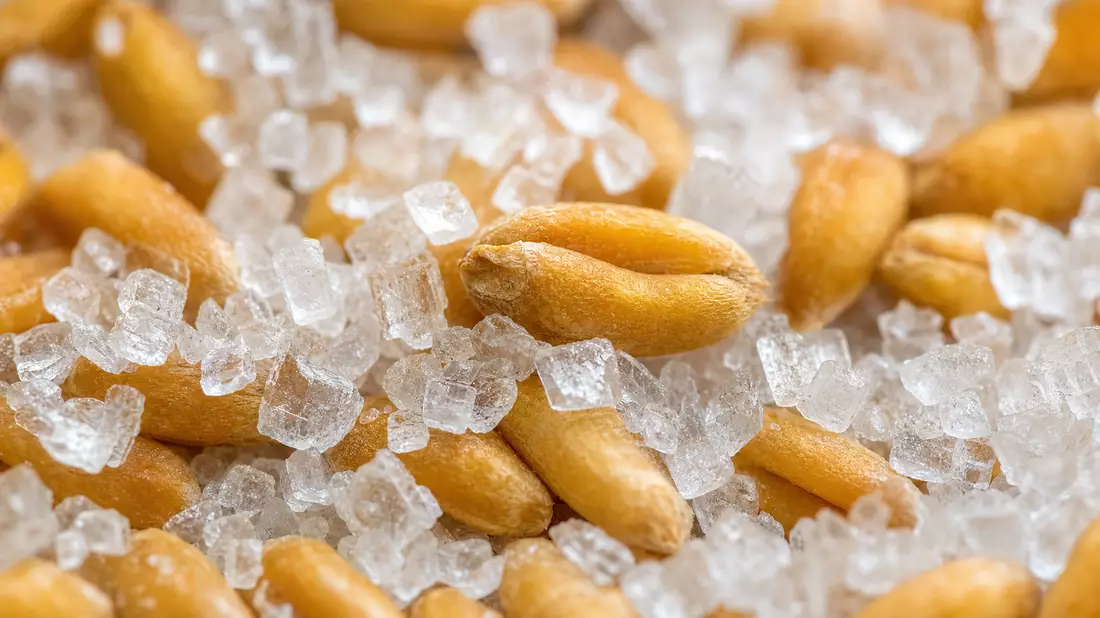 Makro Zuckerkristalle Weizenkörner, Symbolbild Associated British Foods plc GB0006731235