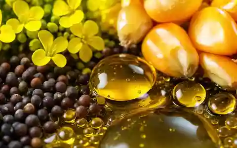 Verbio SE (DE000A0JL9W6) verarbeitet Raps und Mais zu Biodiesel im Rahmen ihrer Erneuerbare-Energien-Produktion - Foto: THN