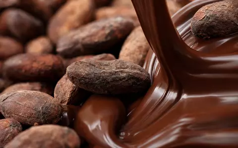 Mondelez International Rohstoff Kakao als extreme Makroaufnahme von Bohnen und Schokolade, ISIN US6092071058 zeigt Materialdetail - Foto: THN